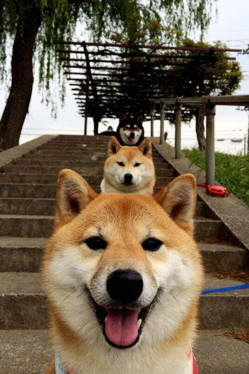 绝境淬真金，布克化身关键先生，导演快船史诗级逆转