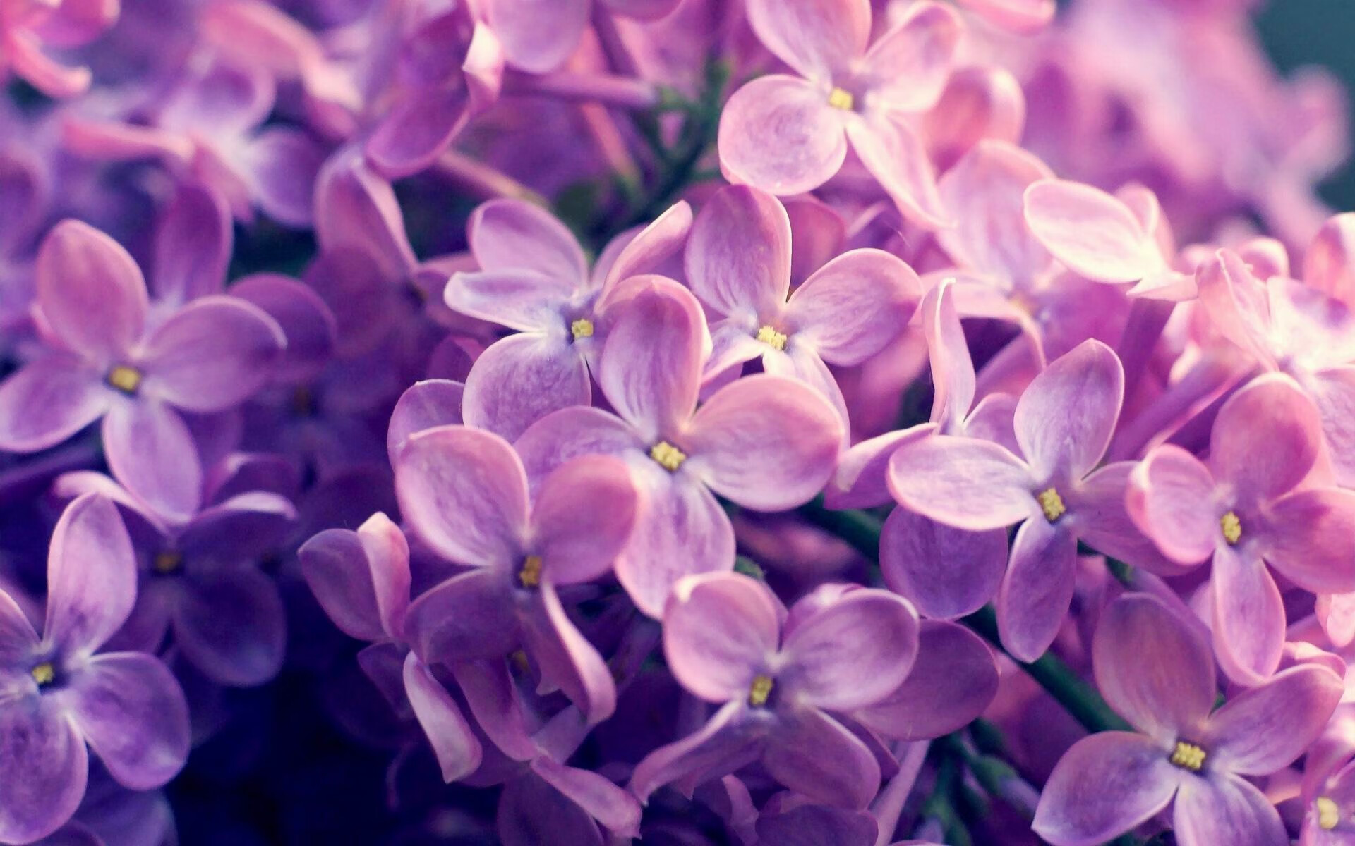 真正的大心脏,京多安的欧冠之夜与贝蒂斯93分钟的启示—冠军的韧性,无关运气