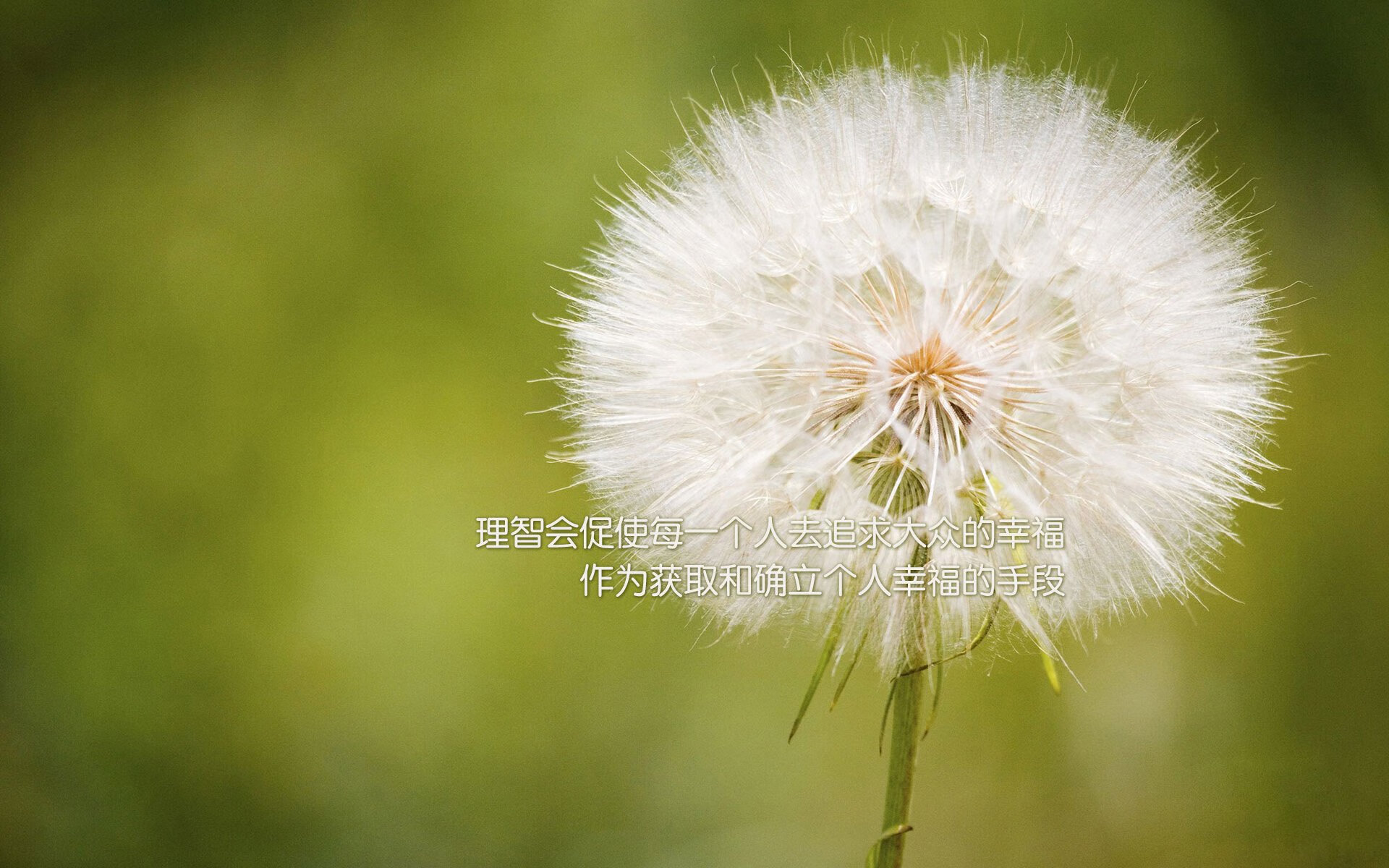 命运的齿轮在2026年盛夏转动—托纳利,那个打破南美宿命的意大利之魂