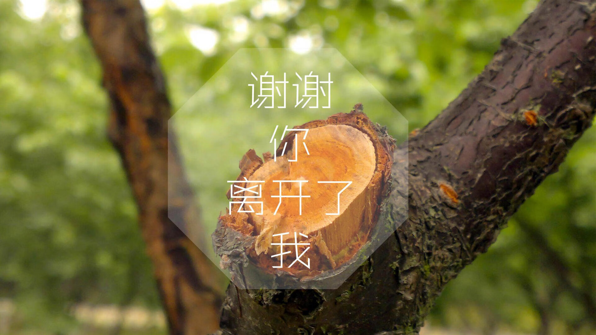 下面先为你扩展思维，提供几个不同角度的标题，然后选择其中一个进行深入创作