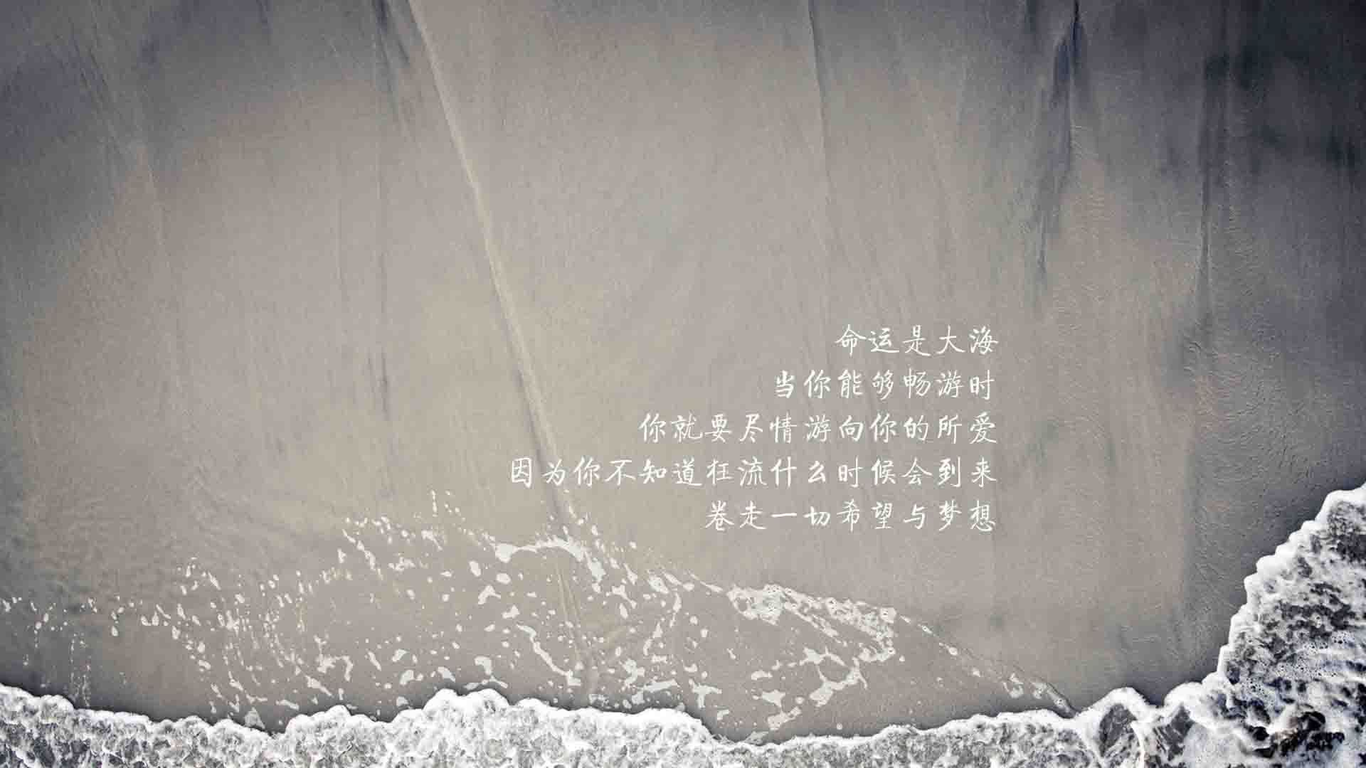 北欧风暴席卷北美，2026世界杯A组，瑞典以完美碾压定义唯一性，而萨内是那场风暴的名字