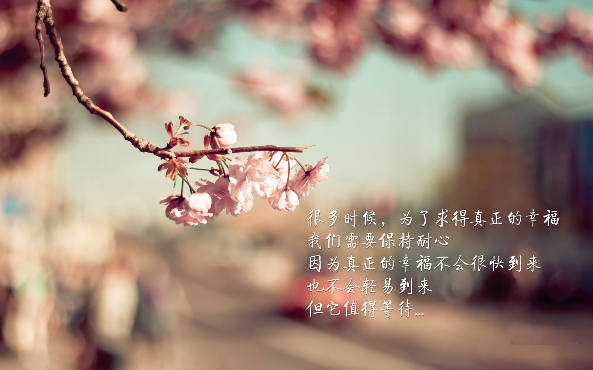 亡灵的低语与英雄的暮歌，2026世界杯E组，当伊拉克的绝杀，为吉鲁的神迹画上句号